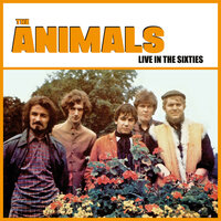 Good Times - The Animals