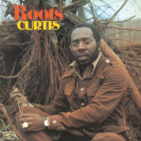 Wild and Free - Curtis Mayfield