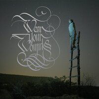 Giving Up - Wear Your Wounds