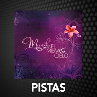 Algo Nuevo - Marcela Gandara