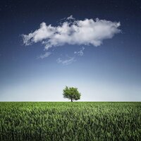 Soul Beauty - Asian Zen Spa Music Meditation, Nature Sounds for Sleep and Relaxation, Massage Tribe