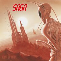 That's How We Like It - Saga
