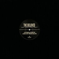 1000 Years From Today - The Beloved, Todd Edwards