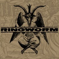 Likeness Of Vanity - Ringworm