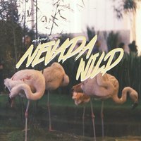 Nevada Wild