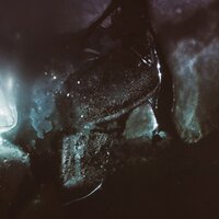 Black Waters - Son Lux
