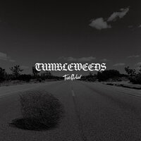 Tumbleweeds - Travis Garland
