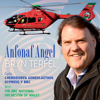 Bread of Heaven - Bryn Terfel, Rhys Meirion