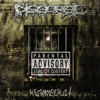 Macabre Realms of Inhuman Bestiality - Disgorge