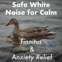 Tormenta Suave - Calm Down, Ambient Forest, White Noise Therapy