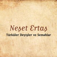 Bir Garip - Neşet Ertaş