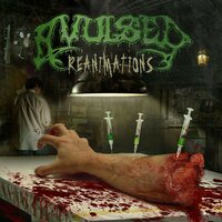 Unconscious Pleasure - Avulsed