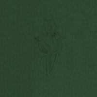The Day After - J. Valentine