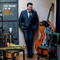 The Mood I'm In - Tony Hadley