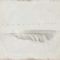 All Wishes Are Ghosts - Snowbird