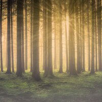 Lunar Lullaby - New Age, Spa Music, Relajante