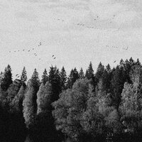 A Collapse of Faith, Pt. III - October Falls