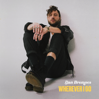 Searching For Something - Dan Bremnes