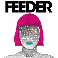 Tallulah - Feeder
