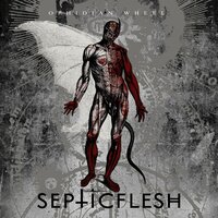 Geometry in Static - Septicflesh