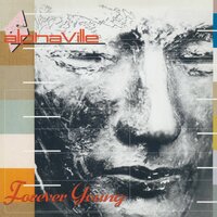 Into the Dark - Alphaville