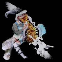 Swim - Oh No Ono, Shlomo