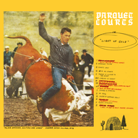 Tears of Plenty - Parquet Courts