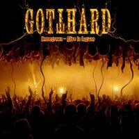 The Oscar Goes to... - Gotthard