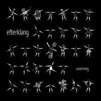 Swarming - Efterklang