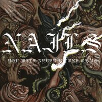 Made to Make You Fail - Nails