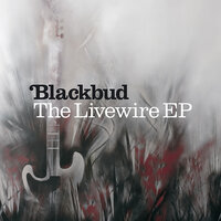 Lost in Time - Blackbud
