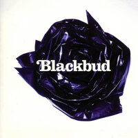 You Can Run - Blackbud