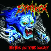 Full Speed or No Speed - Striker