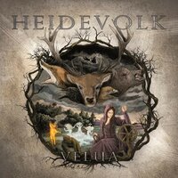 In Het Diepst Der Nacht - Heidevolk