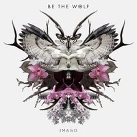 Dust in Hoffman - Be The Wolf