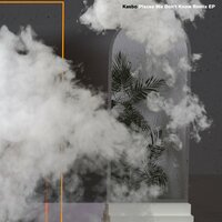 Roots - Kasbo, Amanda Fondell