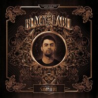Last Man Standing - Samplifire