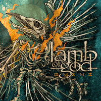 Evidence - Lamb Of God