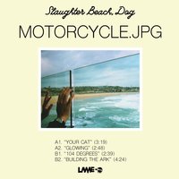 Building The Ark - Slaughter Beach, Dog