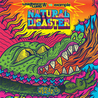 Natural Disaster (Laidback Luke Dub) - Laidback Luke, Example