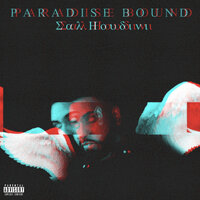 Please Don't Blame the Heart - Sal Houdini