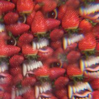 The Floating Coffin - Oh Sees