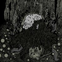 Senecio - Botanist