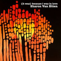 I Wish I Knew - Sharon Van Etten
