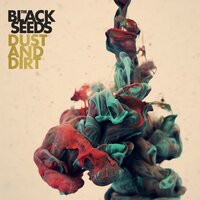 Cracks in Our Crown - The Black Seeds