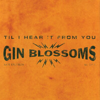 Seeing Stars - Gin Blossoms