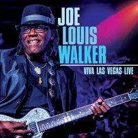 Too Drunk to Drive Drunk - Joe Louis Walker