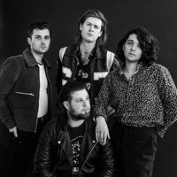 The Amazons