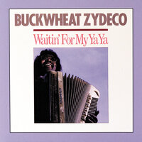 Tee Nah Nah - Buckwheat Zydeco