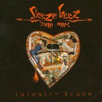 The Long Goodbye - Sleeze Beez